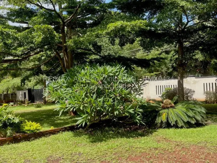 Office to Rent in Borrowdale, Harare