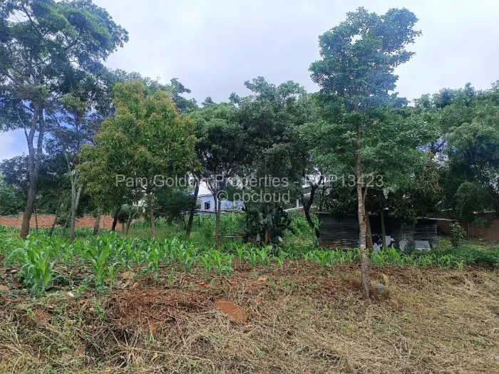 Residential Stand for Sale in Carrick Creagh Estate, Harare