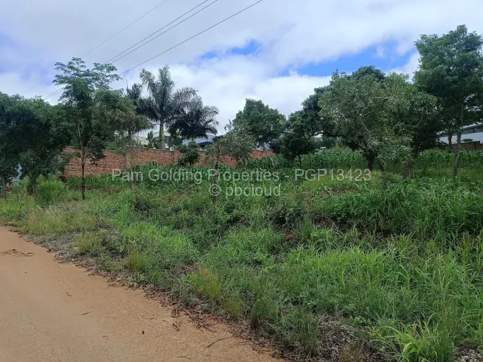 Residential Stand for Sale in Carrick Creagh Estate, Harare