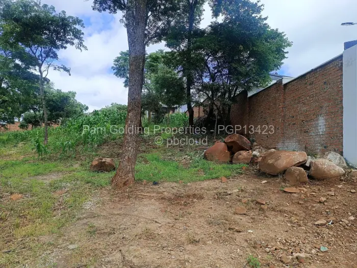 Residential Stand for Sale in Carrick Creagh Estate, Harare