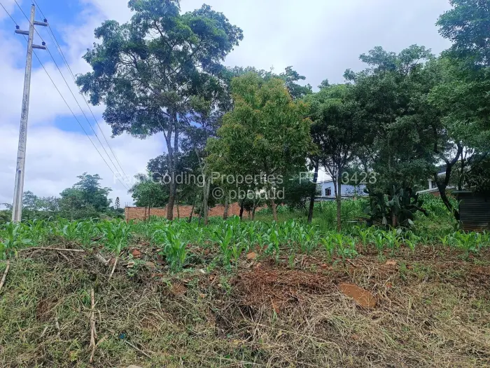Residential Stand for Sale in Carrick Creagh Estate, Harare