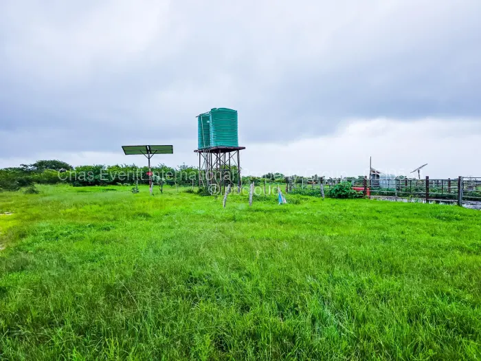 Farm/Plot for Sale in Figtree, Figtree