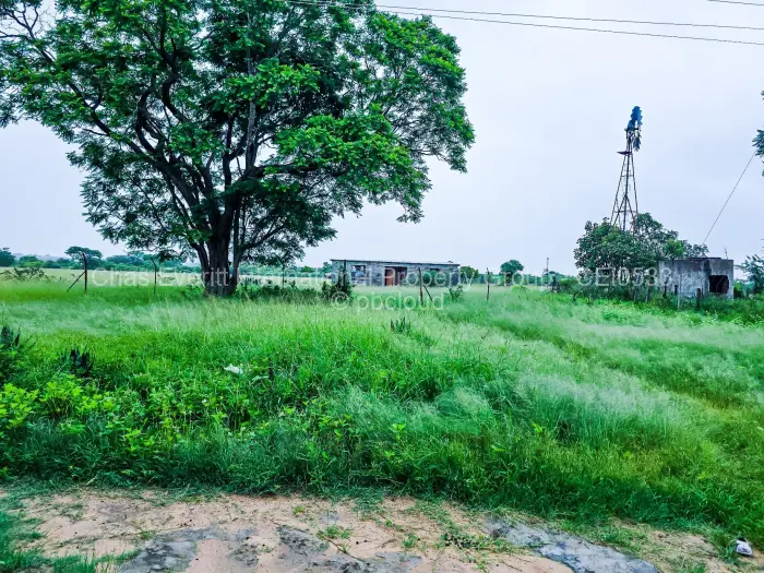 Farm/Plot for Sale in Figtree, Figtree