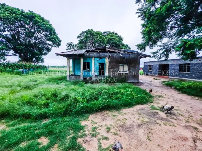 Farm/Plot for Sale in Figtree, Figtree