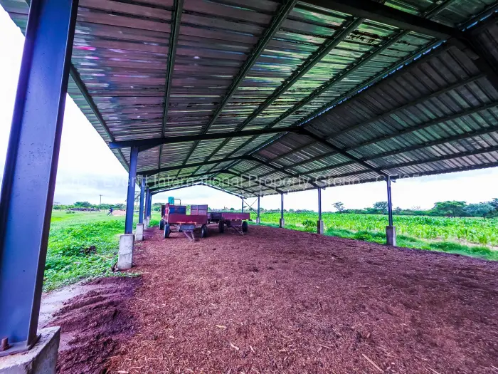 Farm/Plot for Sale in Figtree, Figtree