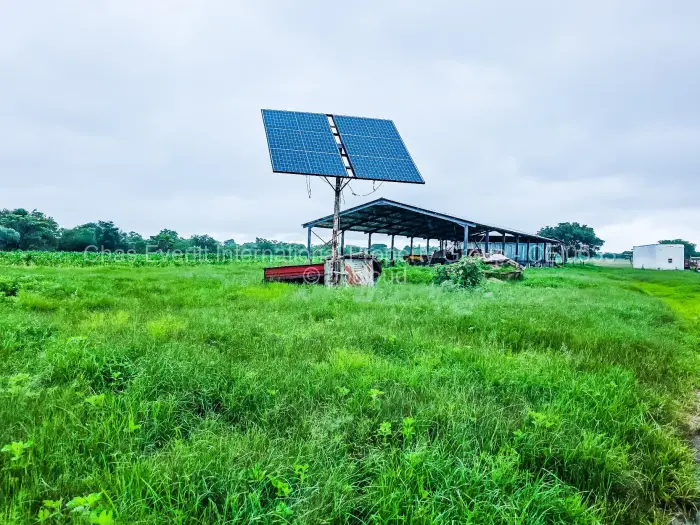 Farm/Plot for Sale in Figtree, Figtree