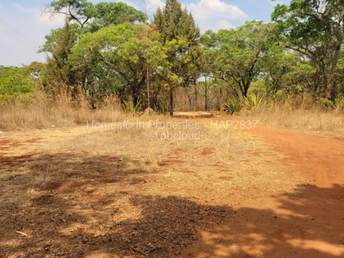 Commercial Stand for Sale in Glen Forest, Harare
