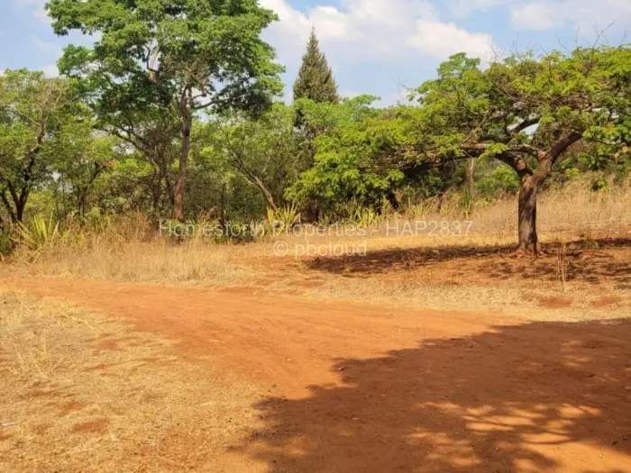 Commercial Stand for Sale in Glen Forest, Harare