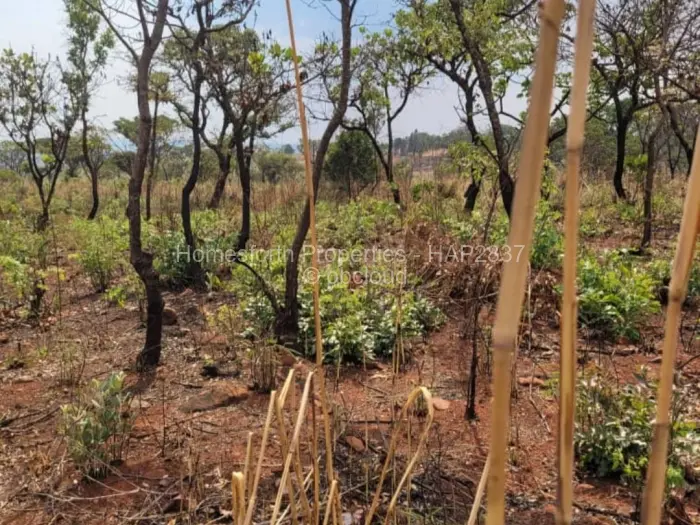 Commercial Stand for Sale in Glen Forest, Harare