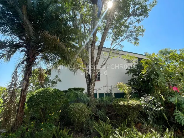 Office to Rent in Vainona, Harare