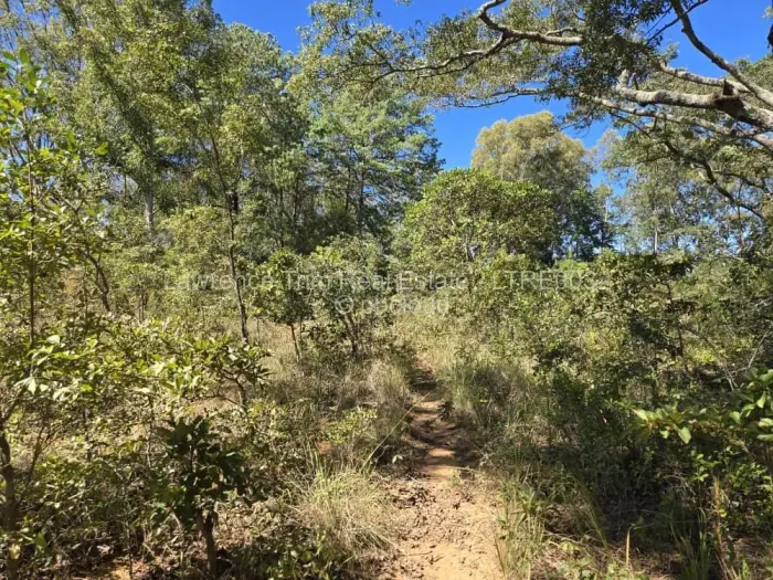 Farm/Plot for Sale in Marondera, Marondera