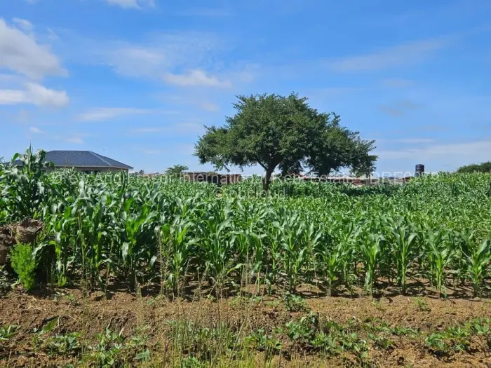 Residential Stand for Sale in Sandton Park, Harare