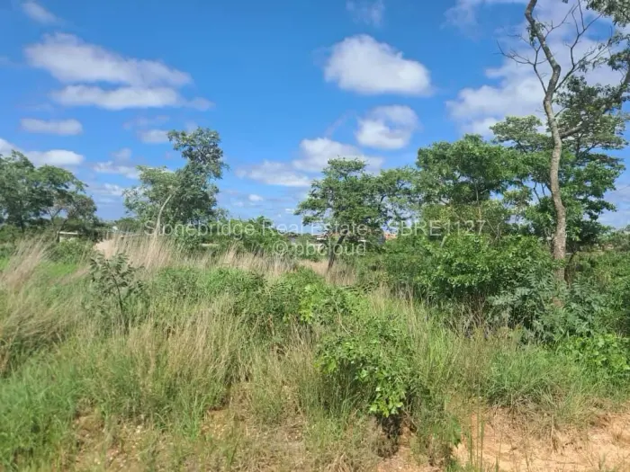 Residential Stand for Sale in Gweru East, Gweru