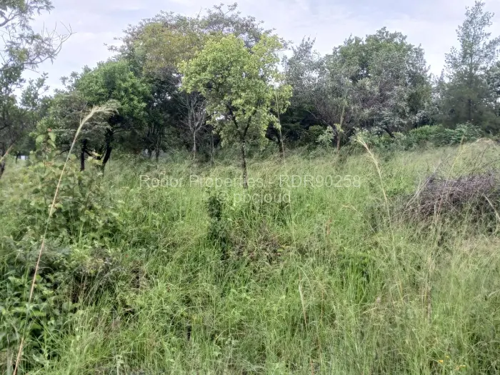 Residential Stand for Sale in Burnside, Bulawayo