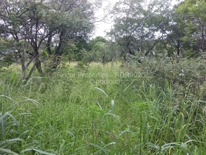 Residential Stand for Sale in Burnside, Bulawayo