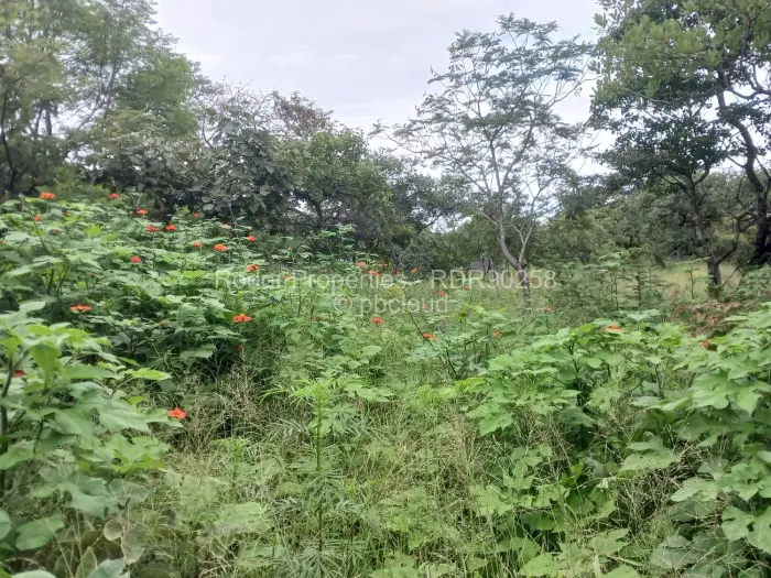 Residential Stand for Sale in Burnside, Bulawayo