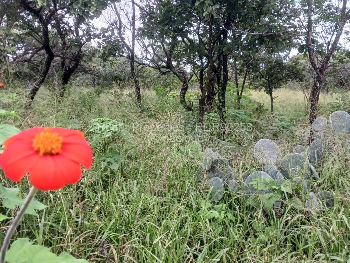 Residential Stand for Sale in Burnside, Bulawayo