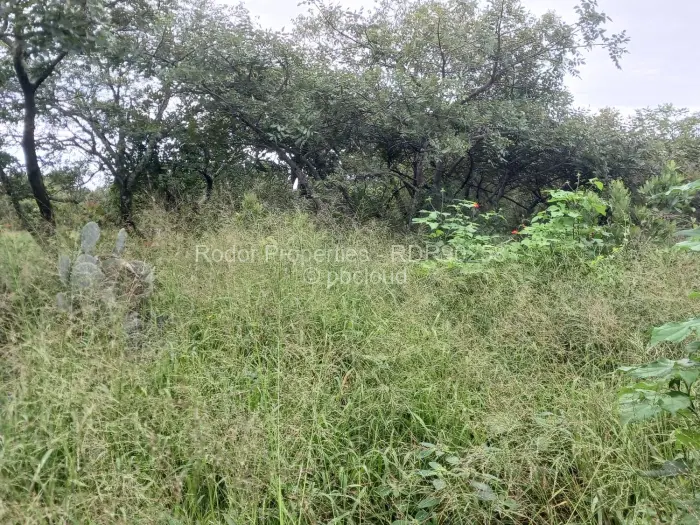 Residential Stand for Sale in Burnside, Bulawayo
