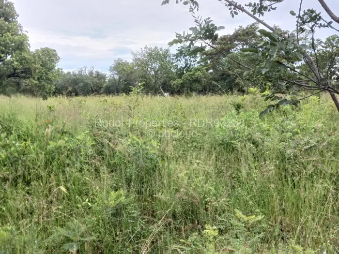 Residential Stand for Sale in Burnside, Bulawayo