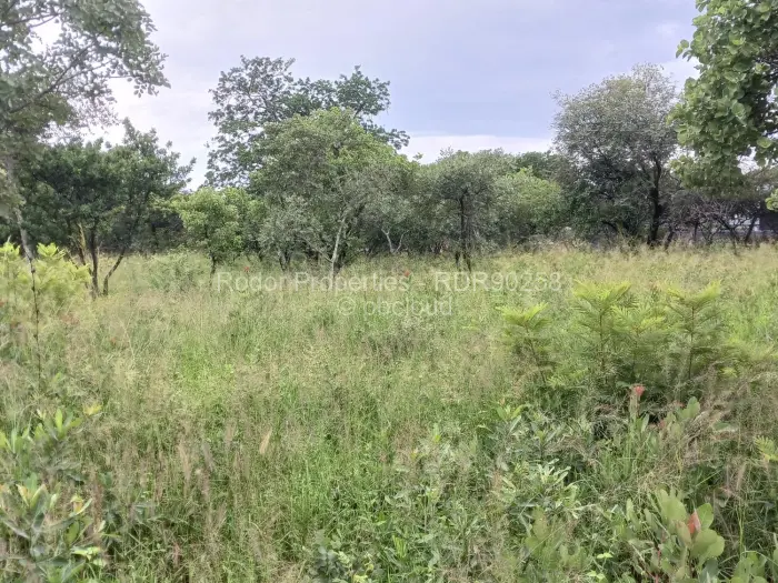 Residential Stand for Sale in Burnside, Bulawayo