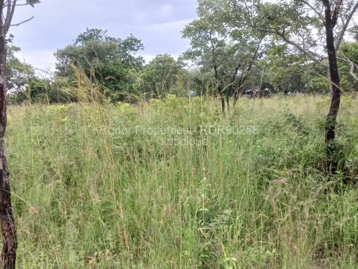 Residential Stand for Sale in Burnside, Bulawayo