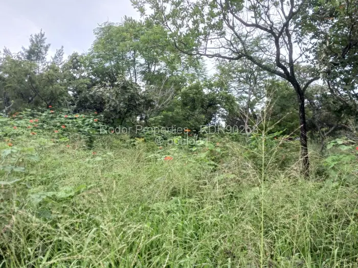 Residential Stand for Sale in Burnside, Bulawayo