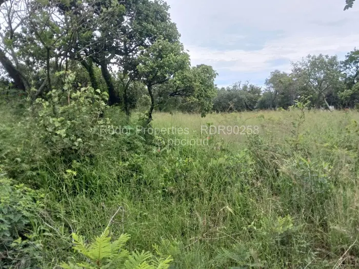 Residential Stand for Sale in Burnside, Bulawayo