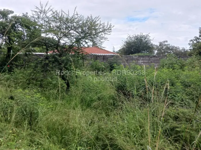 Residential Stand for Sale in Burnside, Bulawayo
