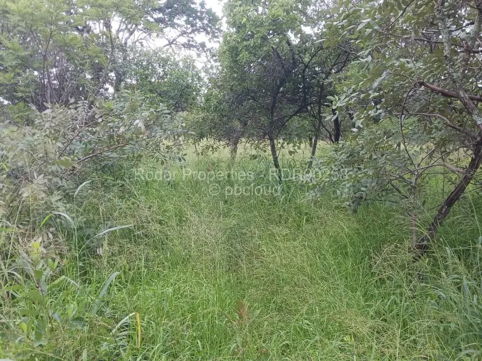 Residential Stand for Sale in Burnside, Bulawayo