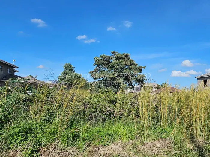 Residential Stand for Sale in Arlington, Harare