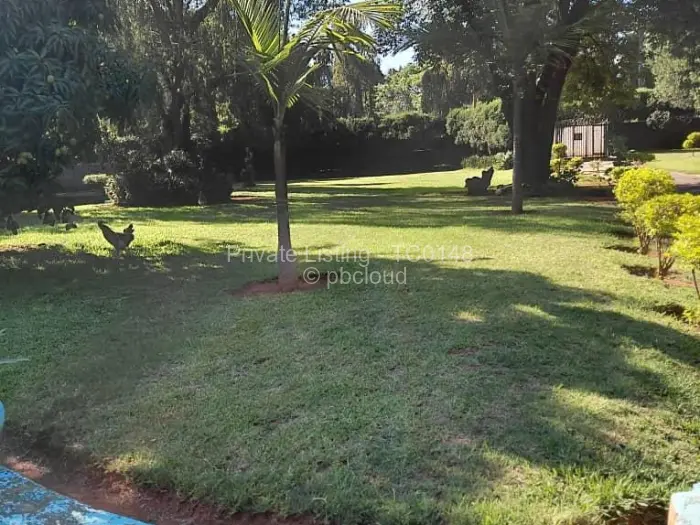 7 Bedroom House to Rent in The Grange, Harare