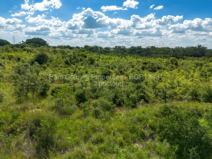 Farm/Plot for Sale in Nyabira, Zvimba