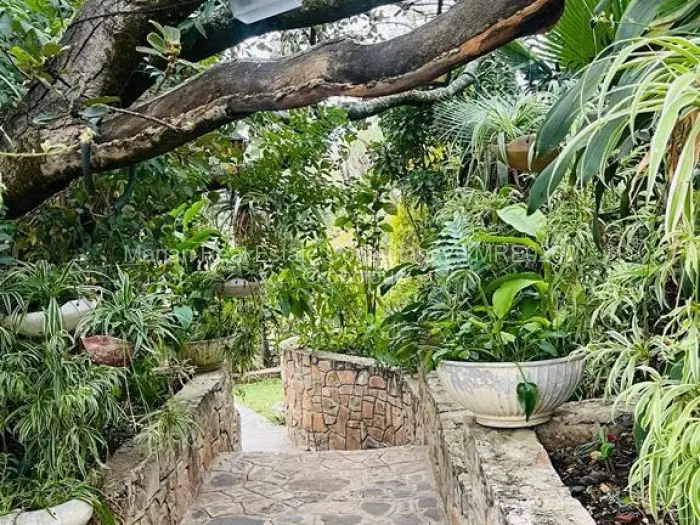 Residential Stand for Sale in Burnside, Bulawayo