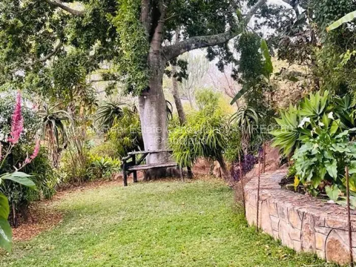 Residential Stand for Sale in Burnside, Bulawayo