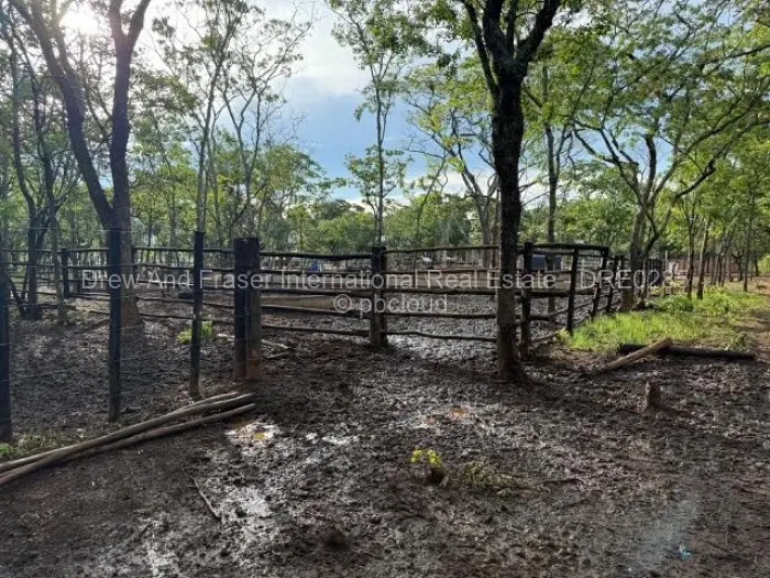 Farm/Plot for Sale in Mazowe, Mazowe