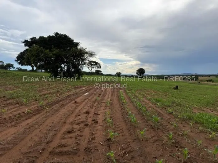 Farm/Plot for Sale in Mazowe, Mazowe