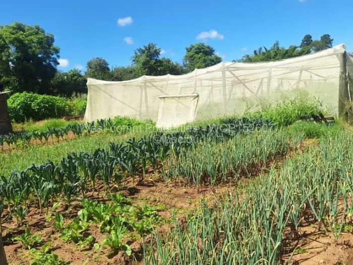 Farm/Plot for Sale in Goromonzi, Goromonzi