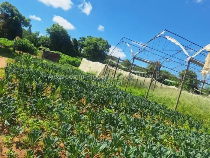 Farm/Plot for Sale in Goromonzi, Goromonzi