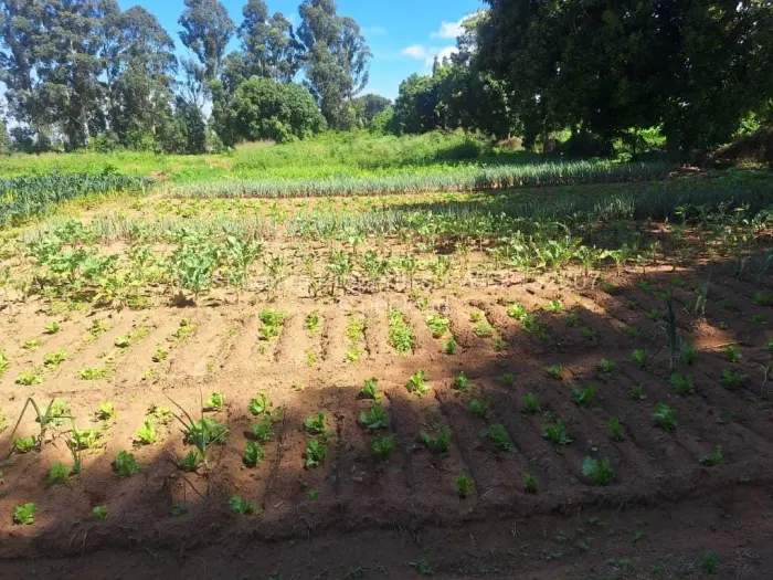 Farm/Plot for Sale in Goromonzi, Goromonzi
