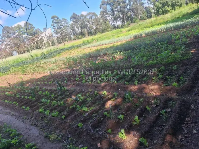 Farm/Plot for Sale in Goromonzi, Goromonzi