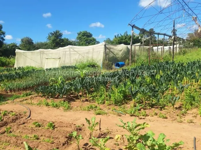 Farm/Plot for Sale in Goromonzi, Goromonzi