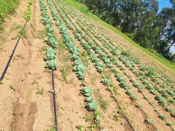 Farm/Plot for Sale in Goromonzi, Goromonzi