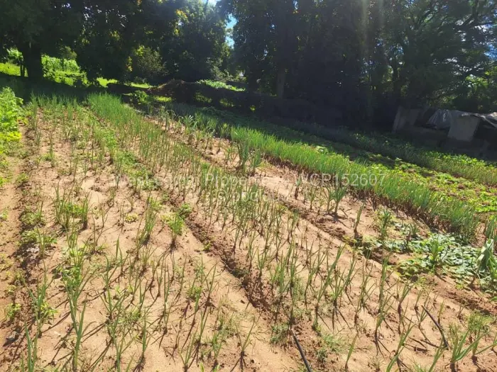 Farm/Plot for Sale in Goromonzi, Goromonzi