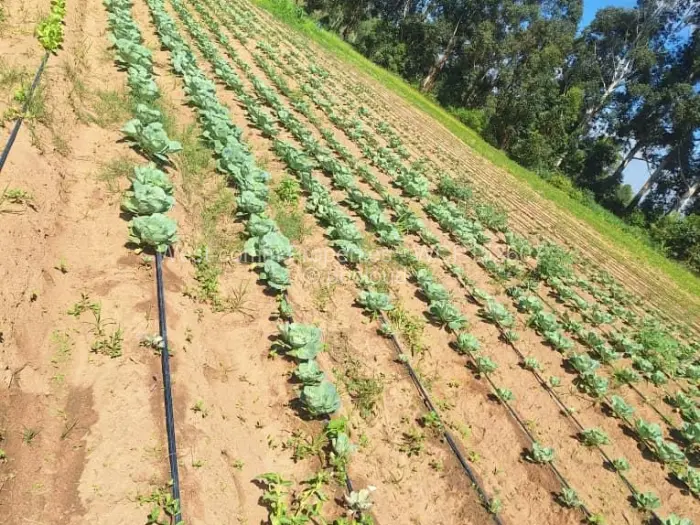 Farm/Plot for Sale in Goromonzi, Goromonzi