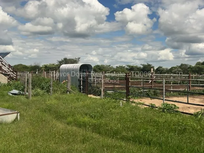 Farm/Plot for Sale in Figtree, Figtree