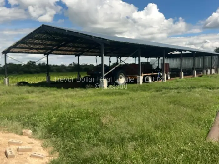 Farm/Plot for Sale in Figtree, Figtree