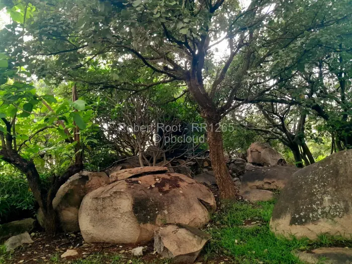 Other Commercial to Rent in Manresa, Harare