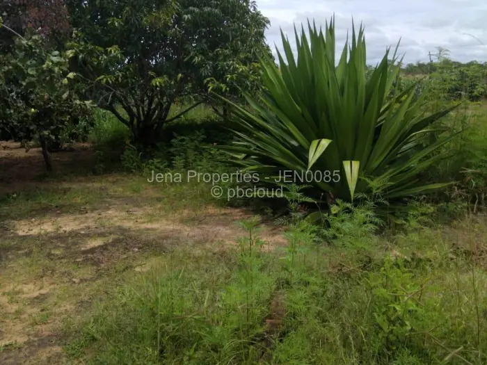 Farm/Plot for Sale in Chegutu, Chegutu