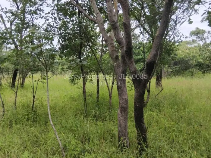 Farm/Plot for Sale in Chegutu, Chegutu