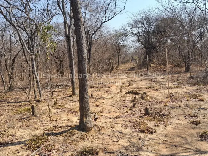 Farm/Plot for Sale in Chegutu, Chegutu
